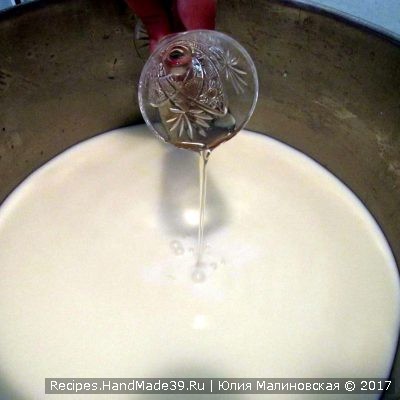 Влить в молоко фермент, перемешивать 15 секунд вверх-вниз, накрыть крышкой и оставить в покое