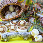 Песочное печенье «Шампиньоны»