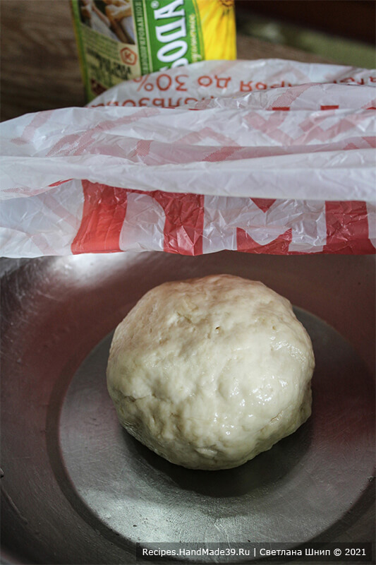 Галетные хлебцы – фото шаг 6. Замесить мягкое эластичное тесто, скатать в шар, накрыть пищевой плёнкой. Выдержать тесто 1,5 часа