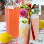 Домашняя ревенево-имбирная настойка